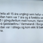 Fagnámskeið í leitartækni