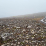 Fagnámskeið í leitartækni