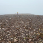 Fagnámskeið í leitartækni