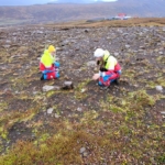 Fagnámskeið í leitartækni