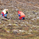 Fagnámskeið í leitartækni