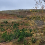 Fagnámskeið í leitartækni