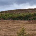 Fagnámskeið í leitartækni