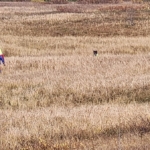 Fagnámskeið í leitartækni